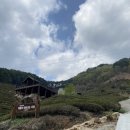 도심다원 이미지