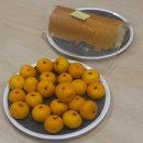 당구박사 | 2025년 10월의 삶