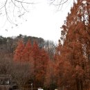 장태산휴양림 이미지