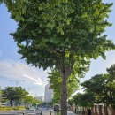 (주)아성다이소 부산개금점 | 개금헬스장 '웅짐피트니스' 추천 (전문PT, 학생할인)