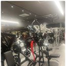 아레나 휘트니스 이미지