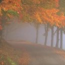 추억의 모던째즈방..." Autumn Leaves " ... Cannonball Adderley (캐논볼 애덜리) 의 앨범 - Somethin Else...전6곡.개별.&.연속듣기.... 이미지