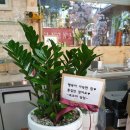 월곡동15 이미지