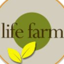 팜 라이프 이미지