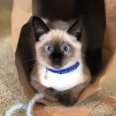 행복한 환경 이미지