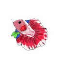 물속풍경수족관 이미지