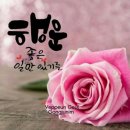 12월2일 (화)출석부(출석도장꼭 찍어주기요)🍁🍂💐🌹 이미지