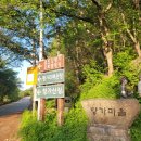 섬진강 향가오토캠핑장 | 전북 순창 가볼만한 곳, 섬진강 향가오토캠핑장