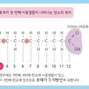 참다랑어 효능 참다랑어 칼로리 영양성분 이미지