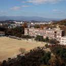 대영고등학교 이미지