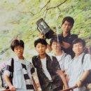 수원고등학교 Daum카페