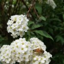 대동이미지작은도서관 이미지