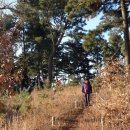 볼음도길 이미지