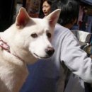 미휘트니스 이미지