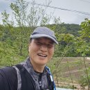 만천
