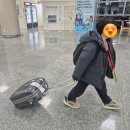 서귀포시축산업협동조합플라자 | 3인 가족 제주도 3박 4일 여행기 1일차