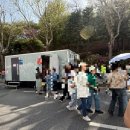 수리고등학교 | 🌸군포시 철쭉죽제 다녀온 후기 &amp; 축제정보