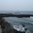 법환동-10 Daum카페