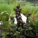 공원 휴게소 이미지