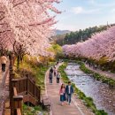 발안천 산책로 이미지