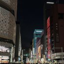 뉴서울여관 | Last day of 2025 in Tokyo