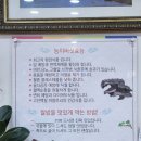 올능이능이버섯백숙 이미지