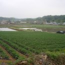 감자부동산중개사무소 이미지