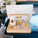 위즈덤케이크 이미지
