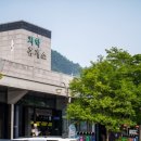 주천면-13(호식이캠핑장 옆) | 영월 계곡 캠핑, 호식이 캠핑장(7월 13-14일, 1박)