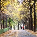 기안초교 이미지