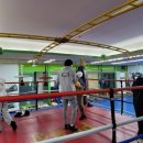 용인대 GX 복싱체육관 이미지