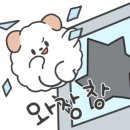 린핏