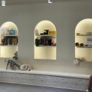 힙독 애견카페 이미지