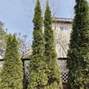 에메랄드그린 이미지