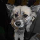 대곡파출소 이미지