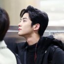멍뭉 Daum카페