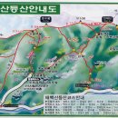 강서고등학교 건너편 이미지