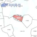 서귀포 표선면 성읍녹차마을 인근 임야(재경매) - 제주 부동산 경매 이미지