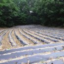 마우농장 이미지