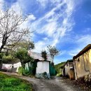 보문산로 이미지