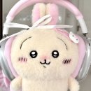 왕왕 이미지