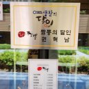 과천대로12길 | 과천 펜타원 이비가짬뽕 후기｜생활의 달인 출연, 담백한 백짬뽕과 한우라이스