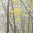 사진을 찍다 이미지