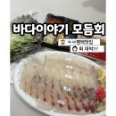 바다이야기 | [평택/바다 이야기] 회 포장 후기, 양·가격·신선도 전부 만족