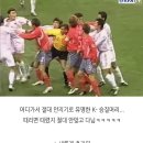 성질머리 Daum카페