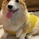 소풍가는 날 이미지