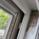 수원-1446 이미지