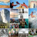 이서면 소로3-155(혁신) | 북트니스 책 함께 읽기 4TH | 파타고니아, 파도가 칠 때는 서핑을 20-10.05~15