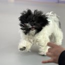 (주)라온부동산중개법인 이미지