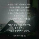 청양친환경블루베리농장 이미지
